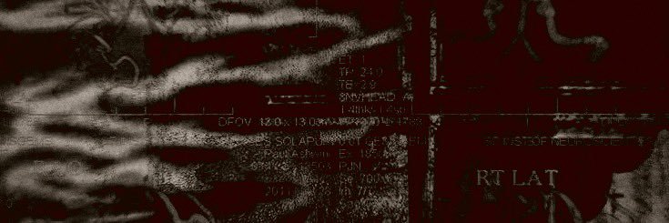 ⊹ ‿ 𝐀ᴺ͟ᴳ͟ᴱ͟ᴸ 𝒞𝙰͟𝙸͟𝙳͟𝙾. banner