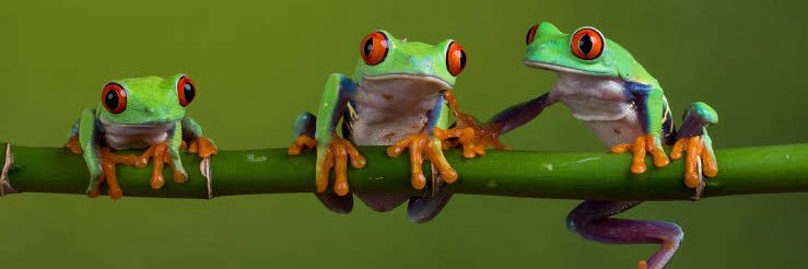 Andy Surreal's banner