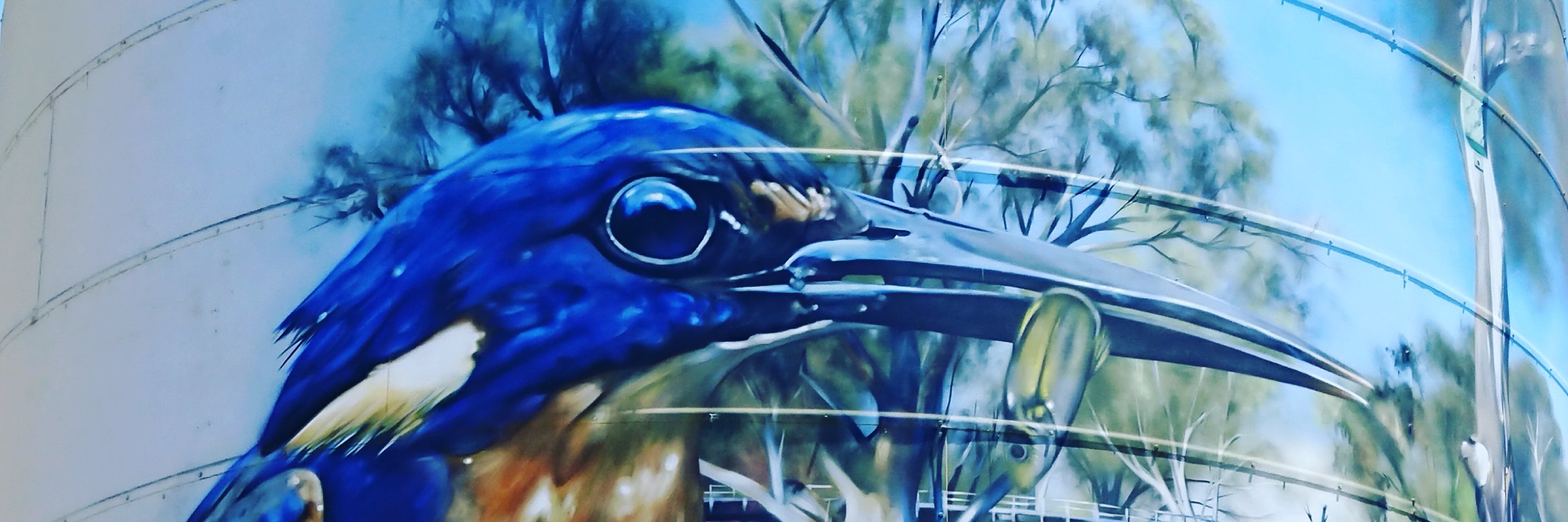 Caitaclysmic banner