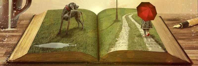 annaklem6571's profile banner image