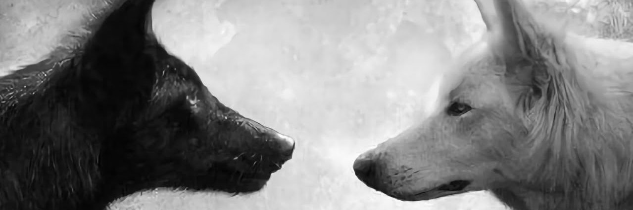 GFYS_____'s profile banner image