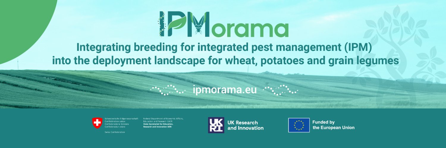 Horizon_ IPMorama banner