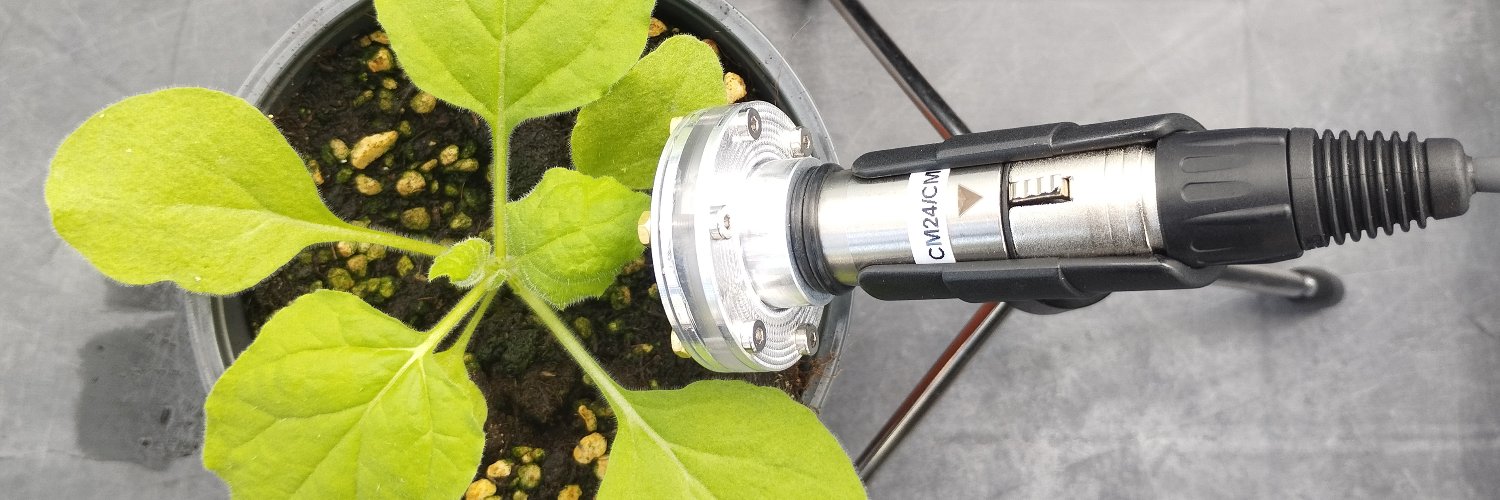 Plant Ultrasound Atlas @puaproject.bsky.social banner