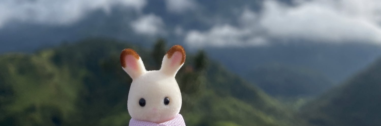 dewastuuu's profile banner image