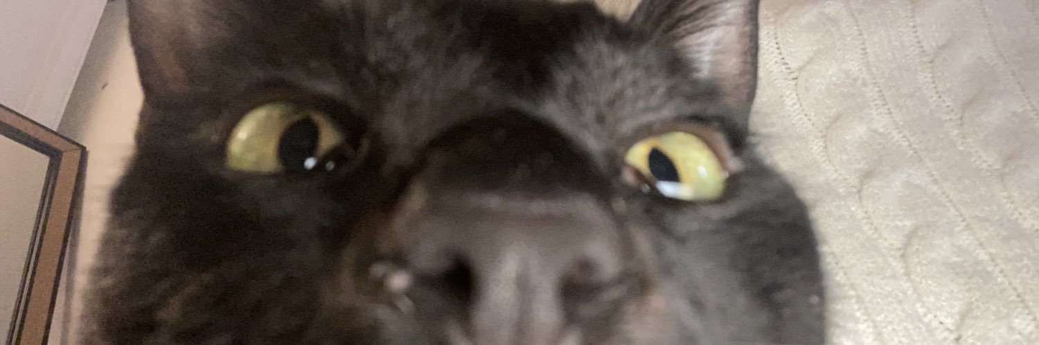 skyyee_'s profile banner image