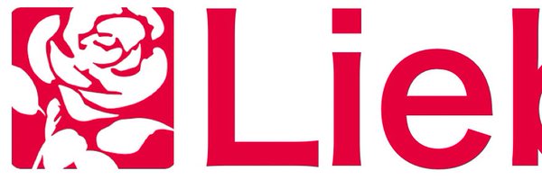 SStarmeroid Profile Banner