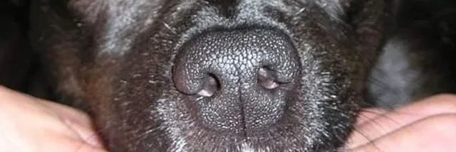 ariadigolpe's profile banner image