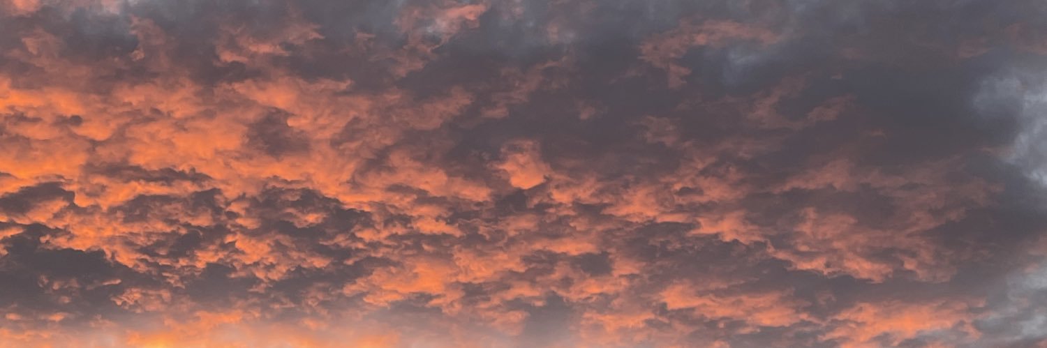 Donna Thompson banner