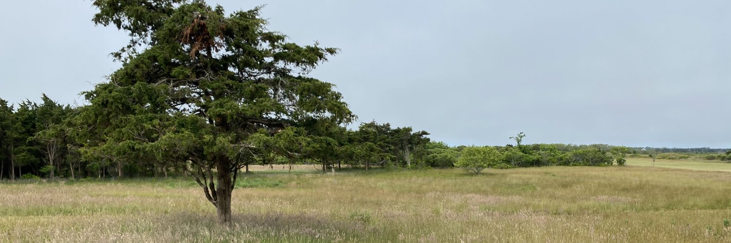 Woodha's profile banner image