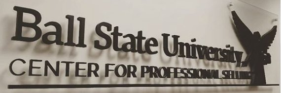 BSUSalesCenter's profile banner image