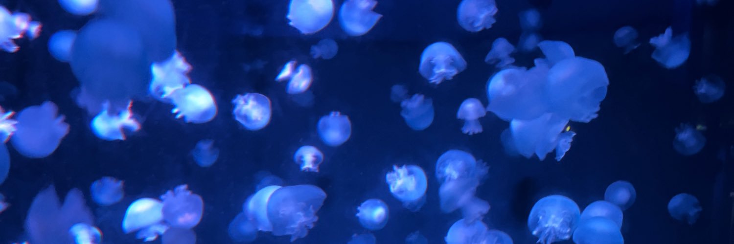 ふぅ (̨̡ ¨̯ )̧̢ 取引垢 @固ツイ一読推奨 banner