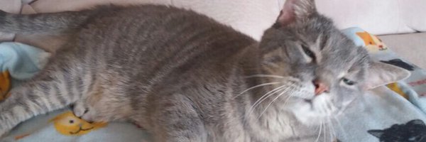 MellyKMK Profile Banner