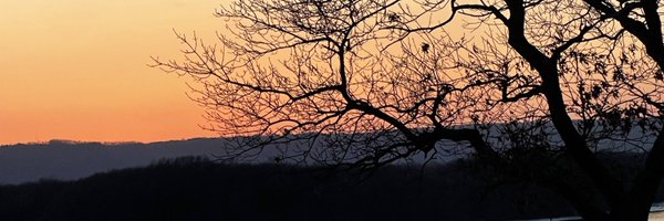 Moondreamer27 Profile Banner