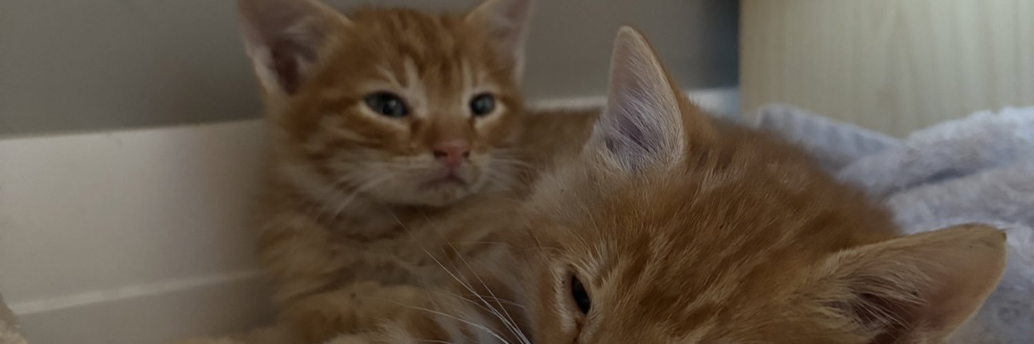 tuncah27's profile banner image