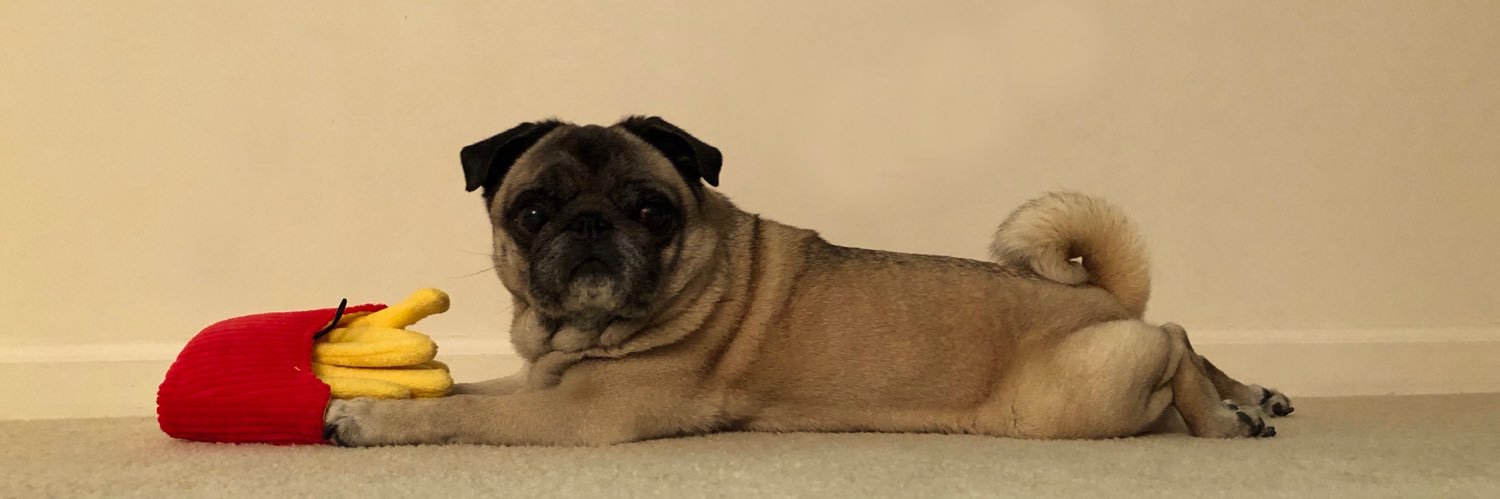 PugMaster's profile banner image