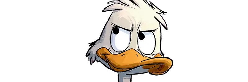 StreetFox🦊 banner