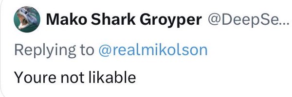 realmikolson Profile Banner