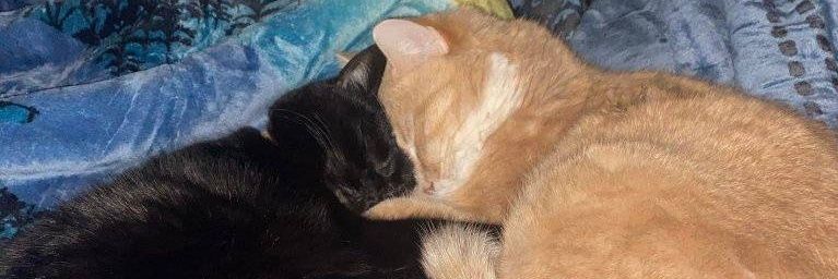 TerryH62869's profile banner image