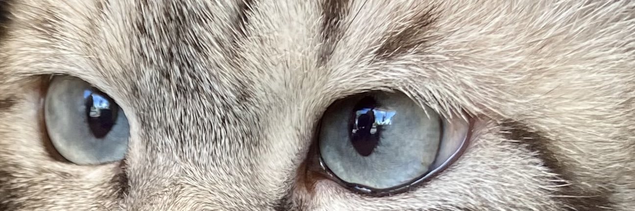 moodto10's profile banner image