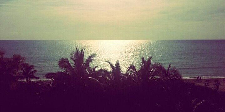 xxSarahV's profile banner image