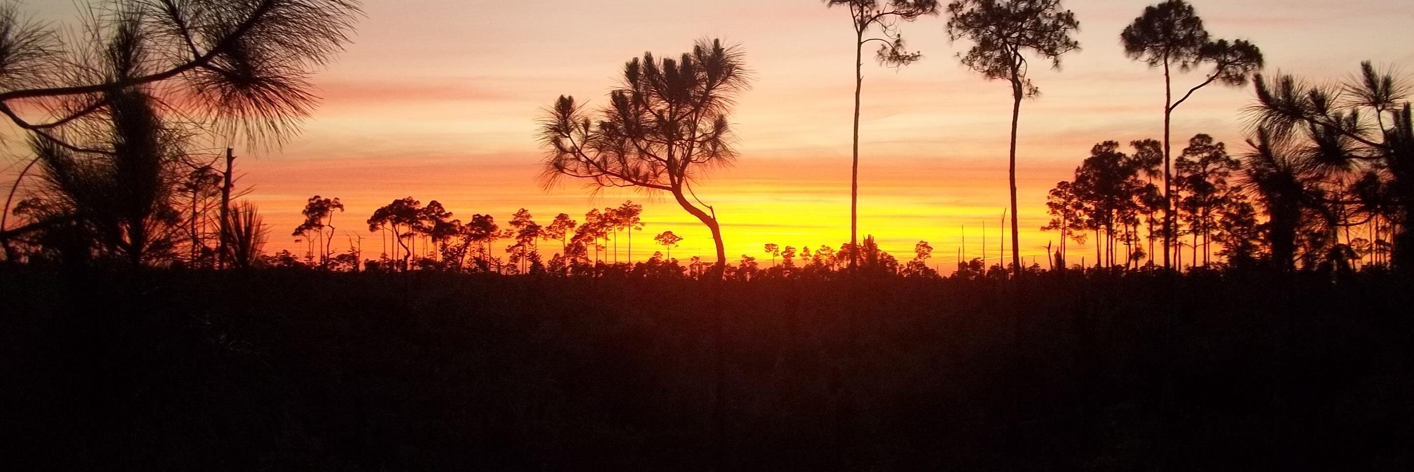 swampbuggyguy's profile banner image