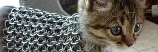veeVLR Profile Banner