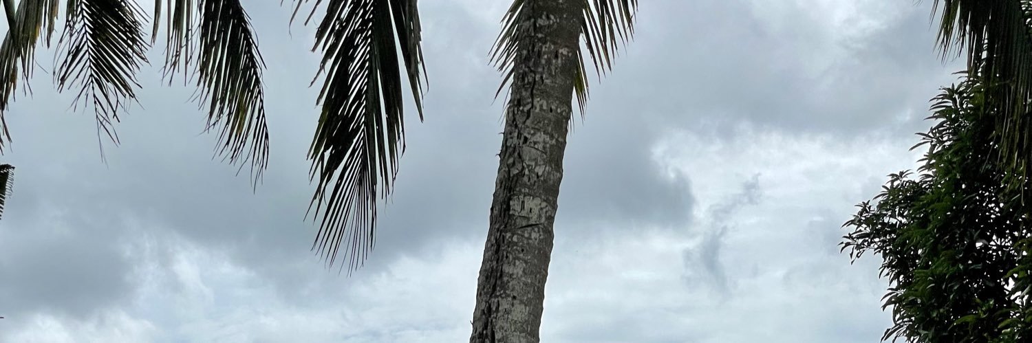 Bossone_'s profile banner image