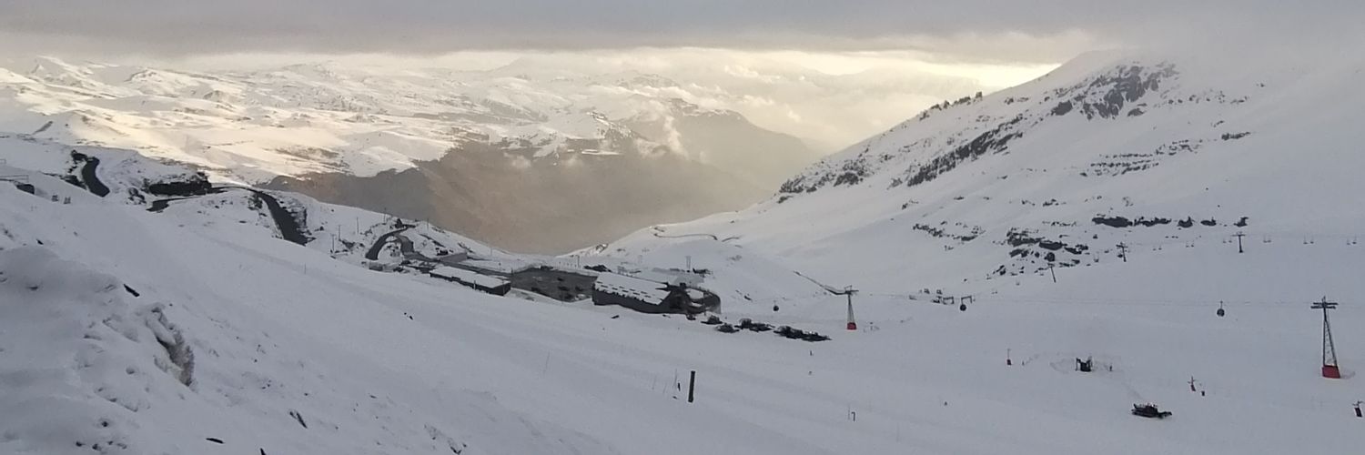 Ivette Avaria banner