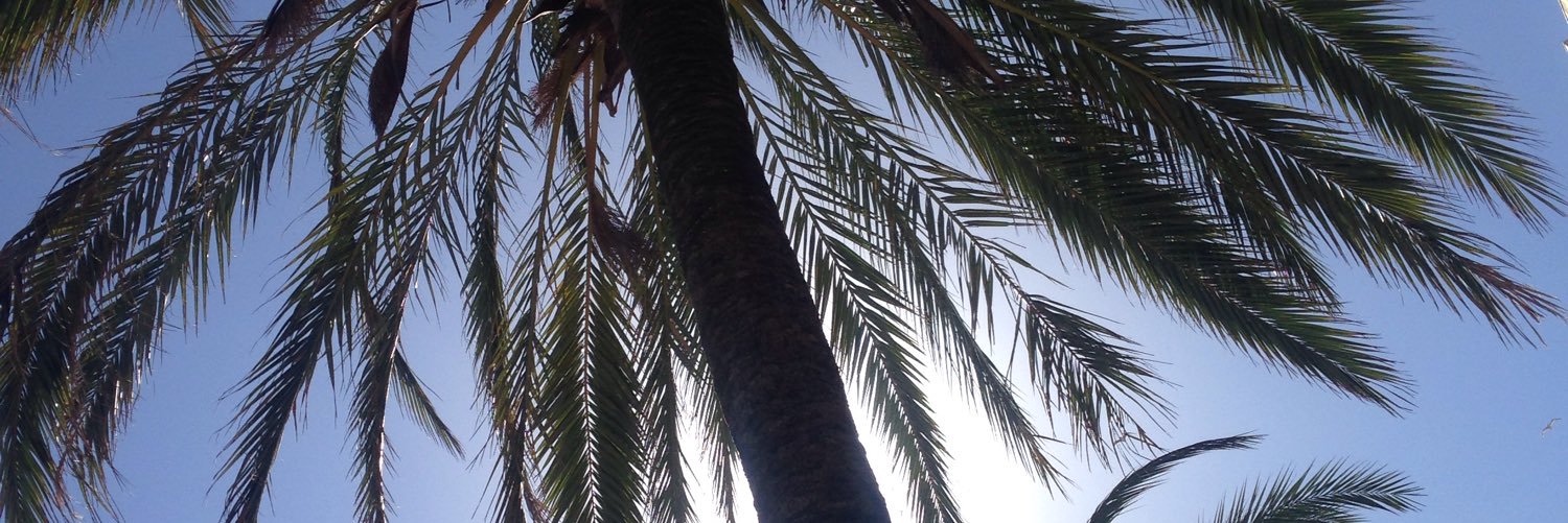 lien_lemmens's profile banner image