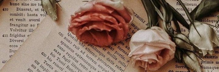 ℒ banner