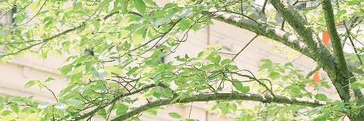 T_na_be's profile banner image