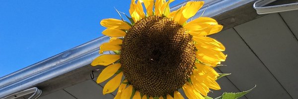 Sp89647Victoria Profile Banner