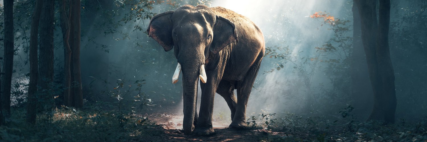 jamestwin's profile banner image