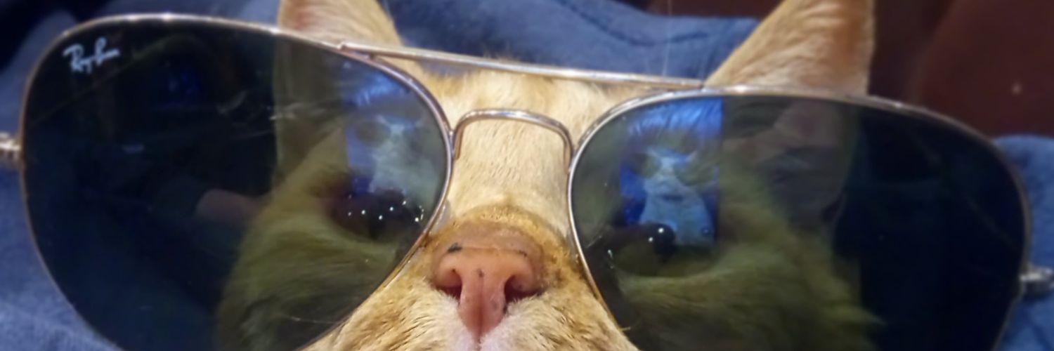 Kenneth J Nash banner