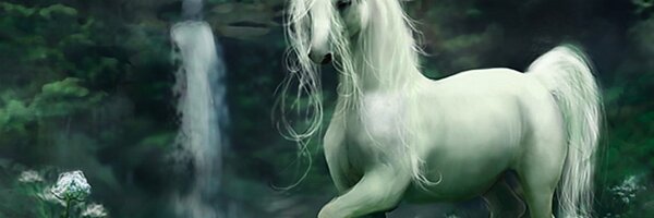 MeaghanRath Profile Banner