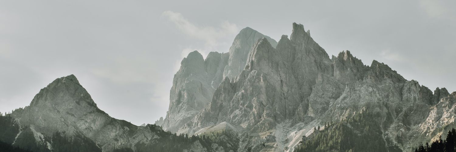 silverjaanus's profile banner image