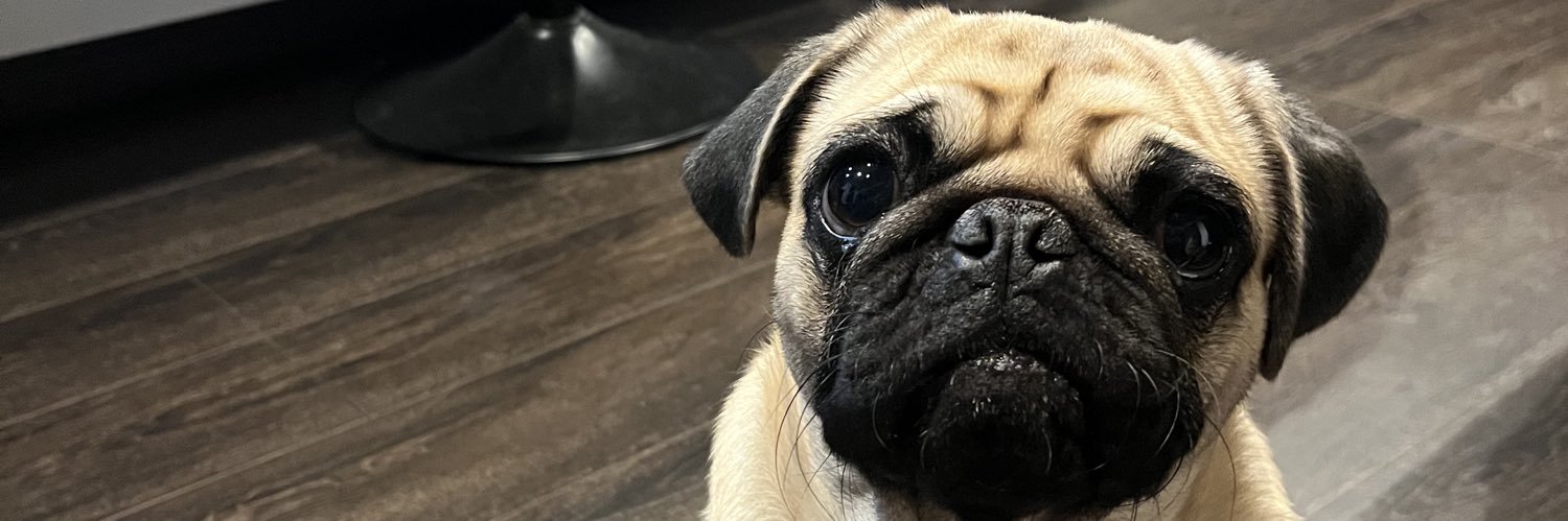 𝑡𝑎𝑘𝑒 banner