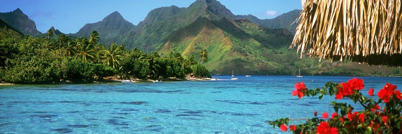 Ernesto Gutierrez banner