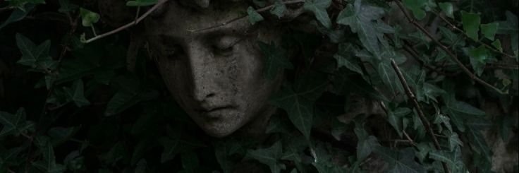 MIY4D's profile banner image