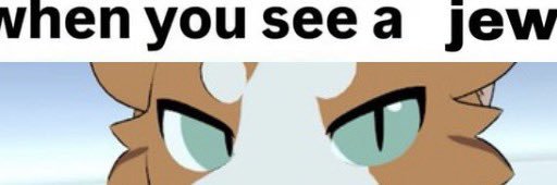 Spills2445980's profile banner image