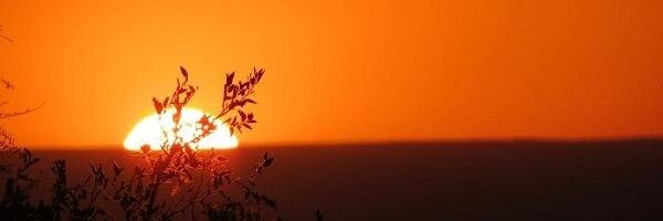 covalui's profile banner image