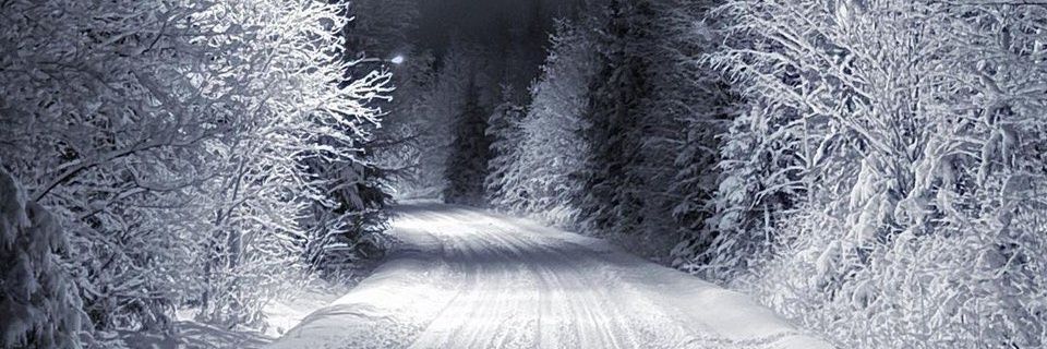 Hashquatch's profile banner image