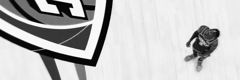 SGA banner