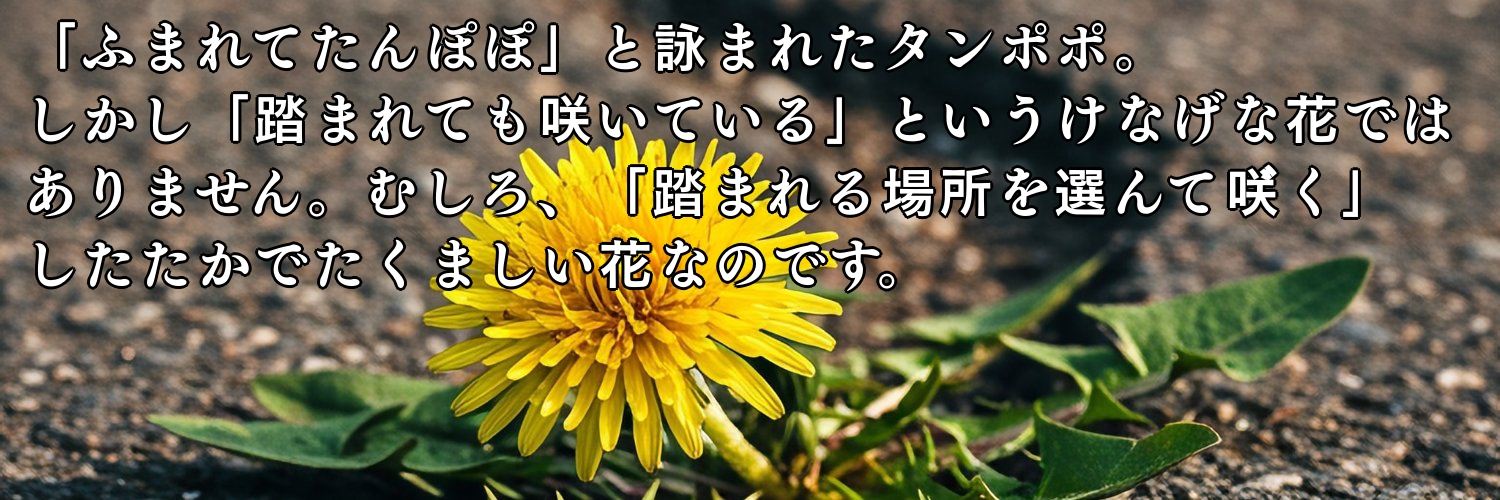 きゅうり㊗北村新党爆誕！'s banner