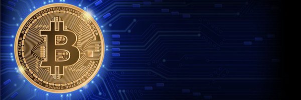 hashkeynft Profile Banner
