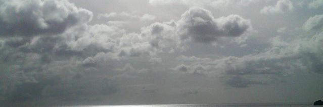 TrinaD's profile banner image