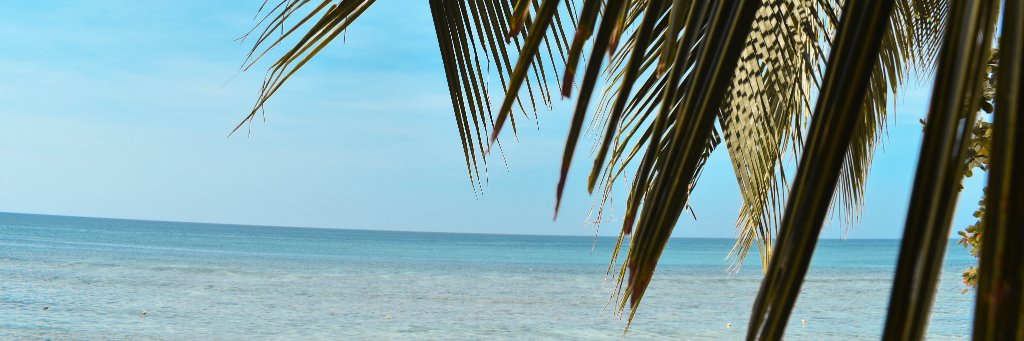 xeanthate's profile banner image