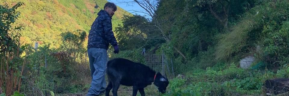 マキ カオル れいわ新選組 🐾箕面市議会議員 banner