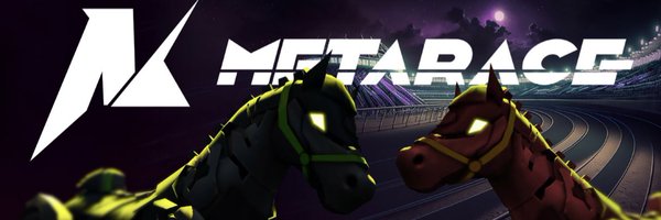 MetaRace Profile Banner