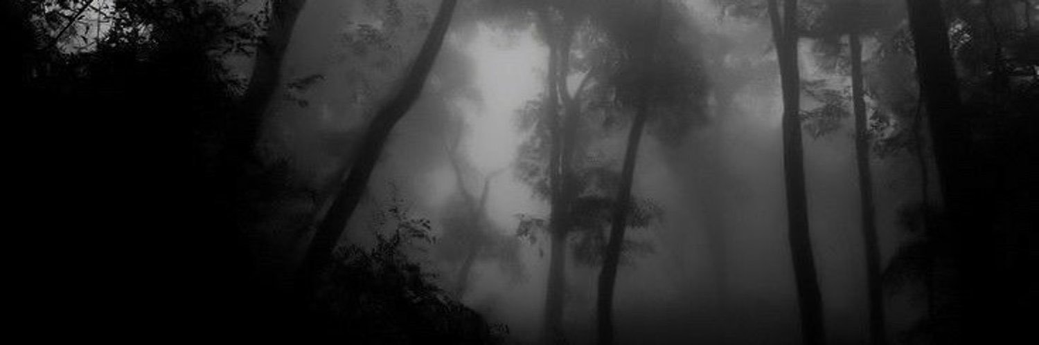 ashie ⋆.𐙚 ̊ banner